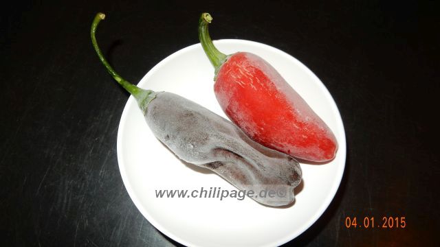 Machu Picchu und Jalapeno Mexico