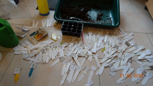 Foto 1 - alte beschriftete Etiketten