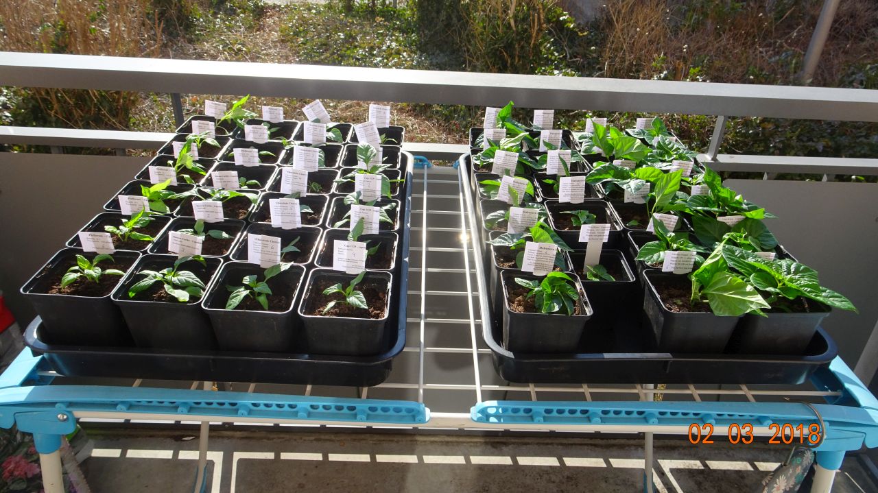 Für die Originalgrösse auf das Bild klicken