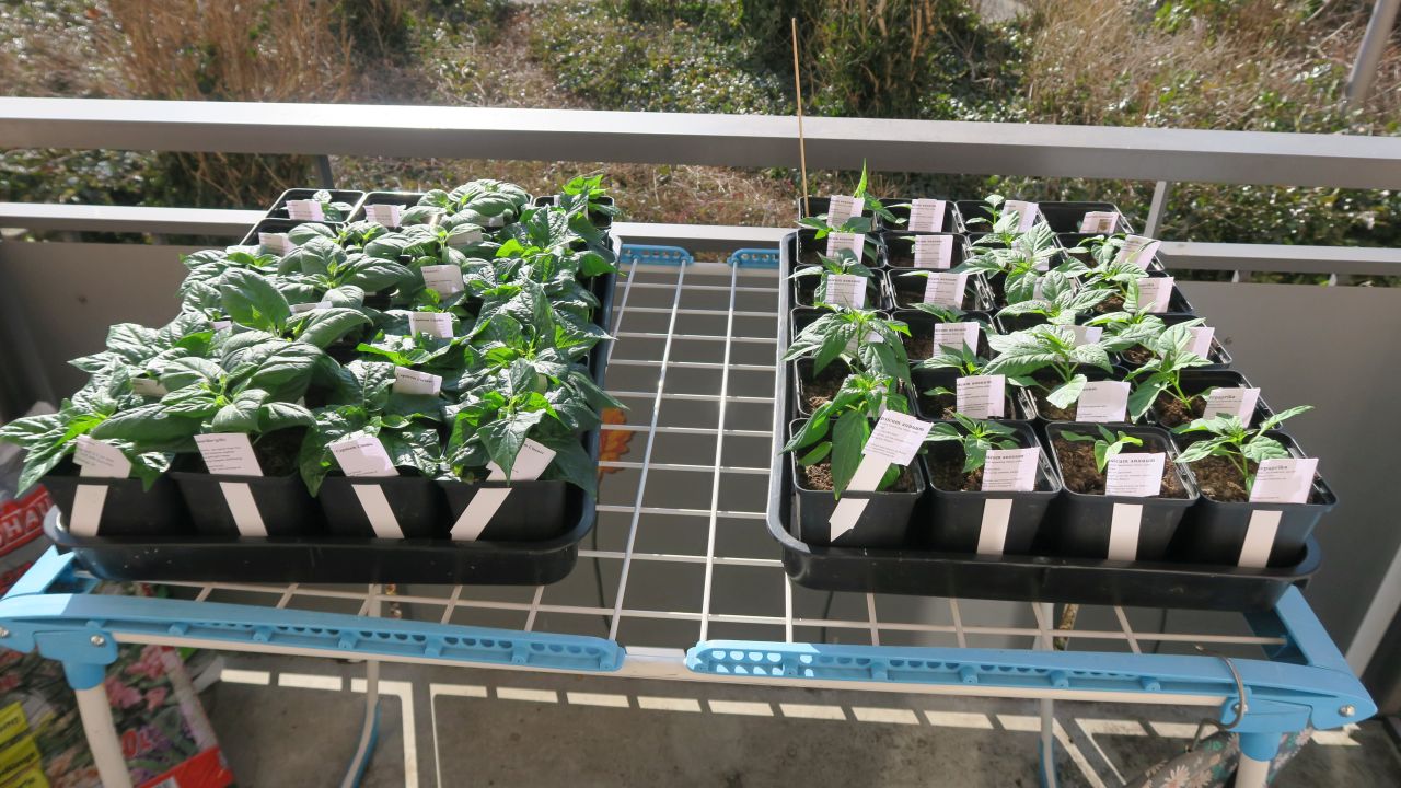 Für die Originalgrösse auf das Bild klicken