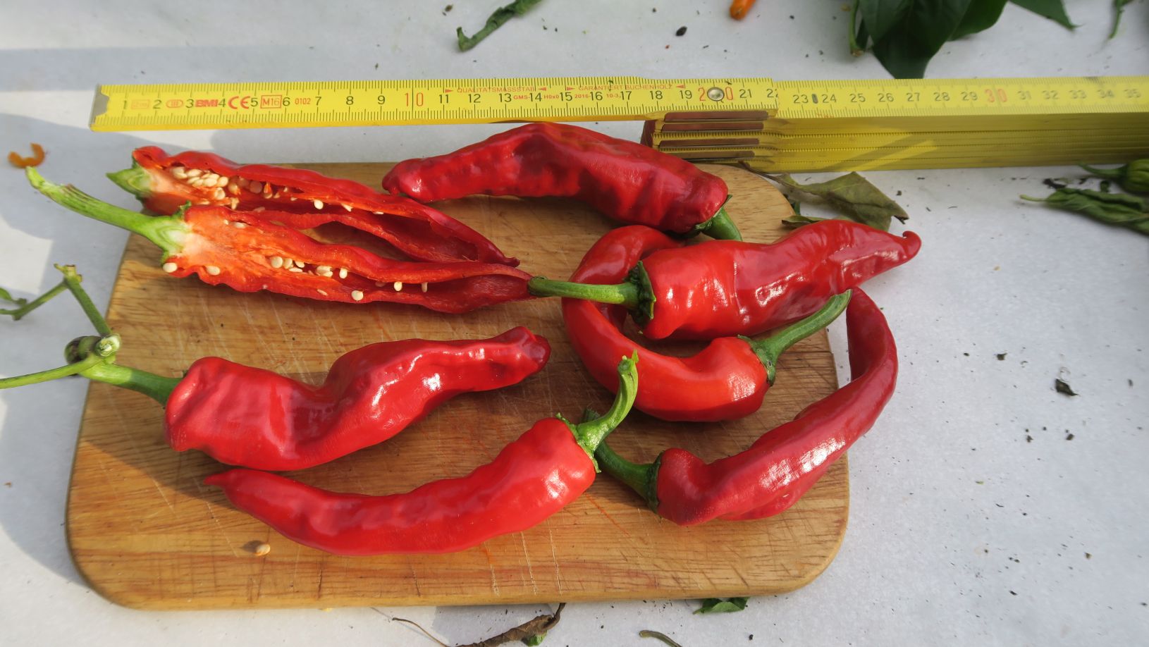 Für die Originalgrösse auf das Bild klicken