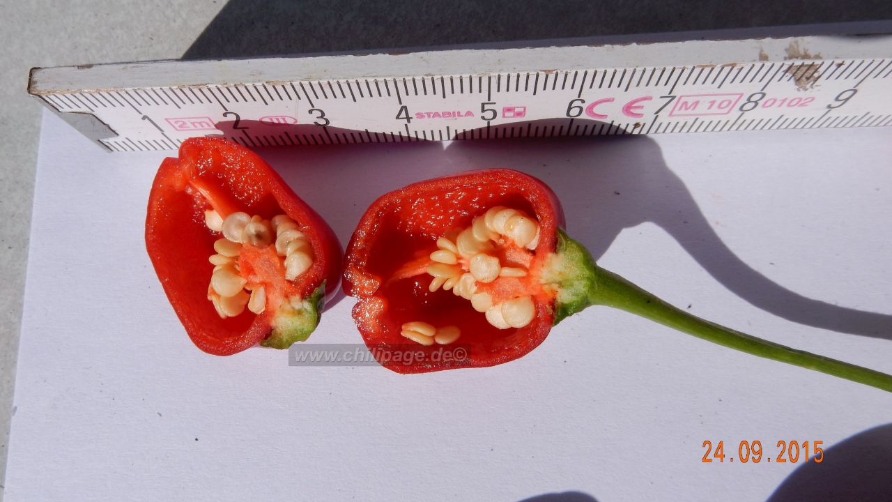 Für die Originalgrösse auf das Bild klicken