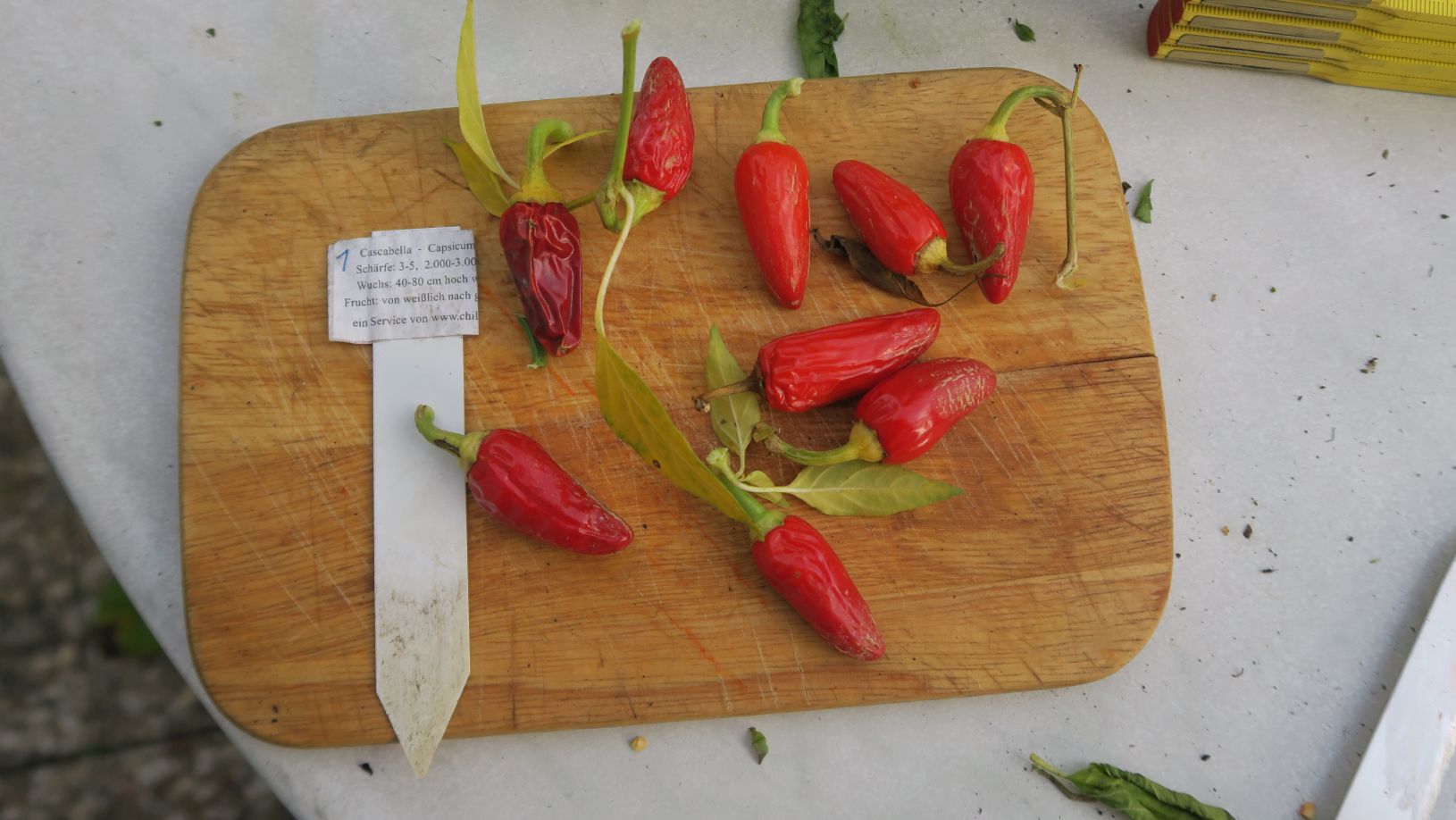 Für die Originalgrösse auf das Bild klicken