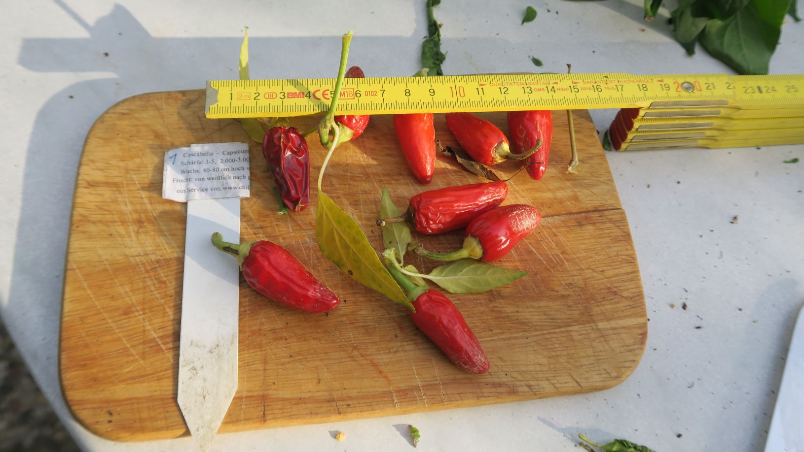 Für die Originalgrösse auf das Bild klicken