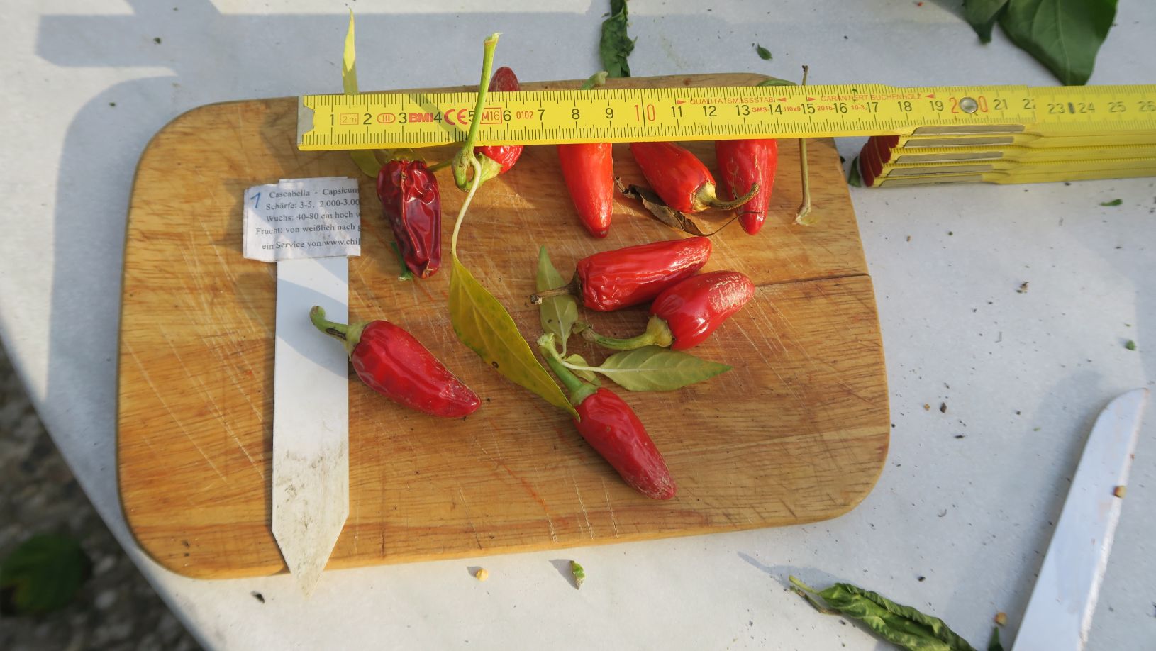 Für die Originalgrösse auf das Bild klicken