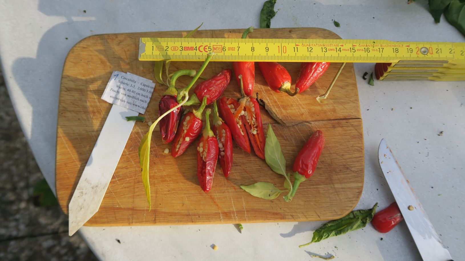 Für die Originalgrösse auf das Bild klicken