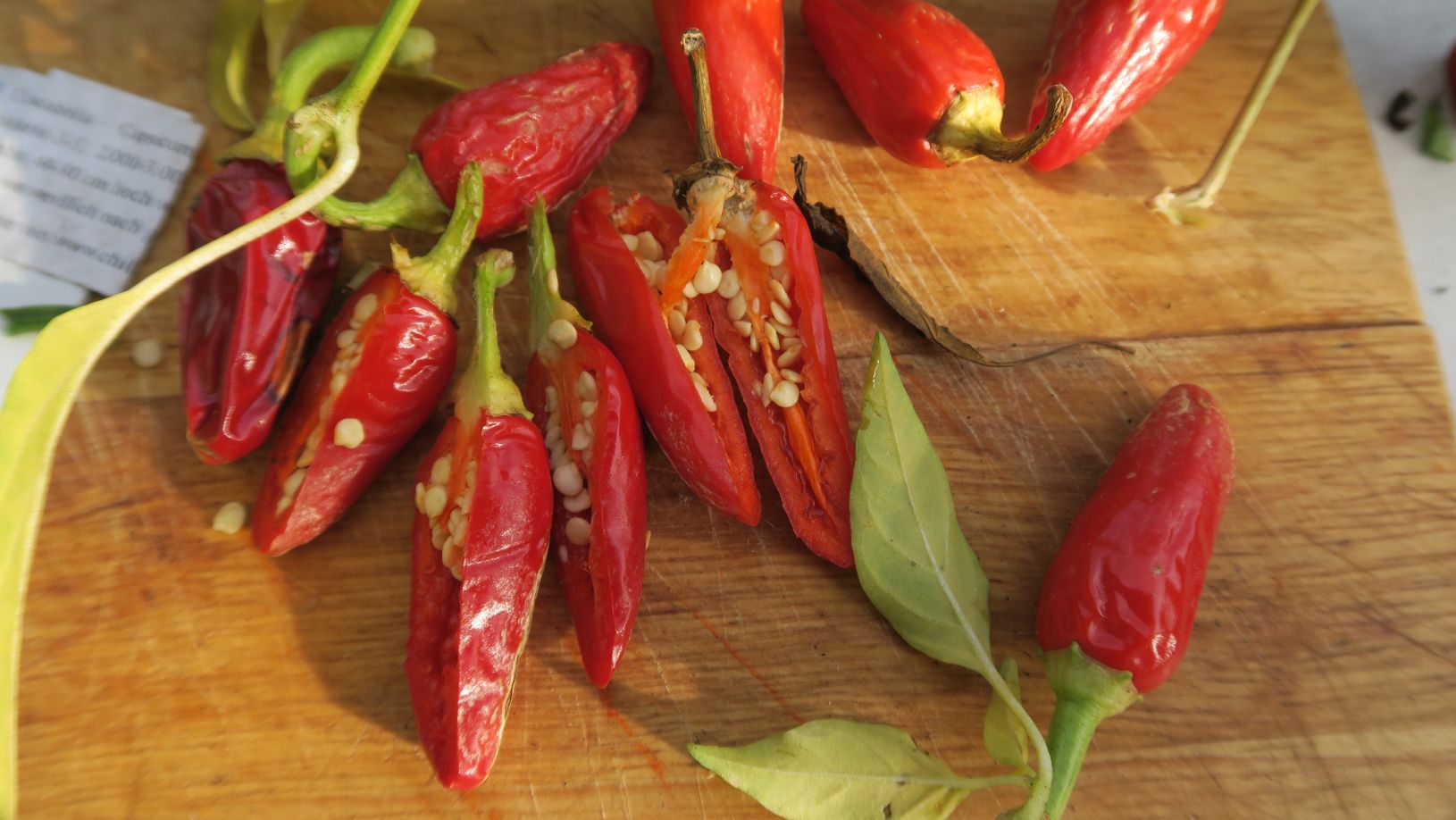 Für die Originalgrösse auf das Bild klicken