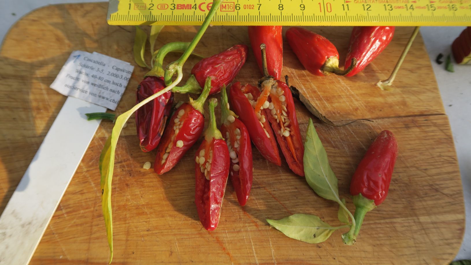 Für die Originalgrösse auf das Bild klicken