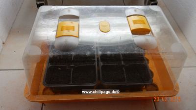 Edes Füszer Paprika