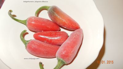 tiefgefrorene Jalapeno Mexico aus der Ernte 2014