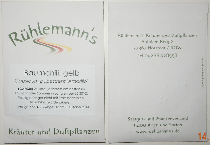 Rocoto Baumchili gelb